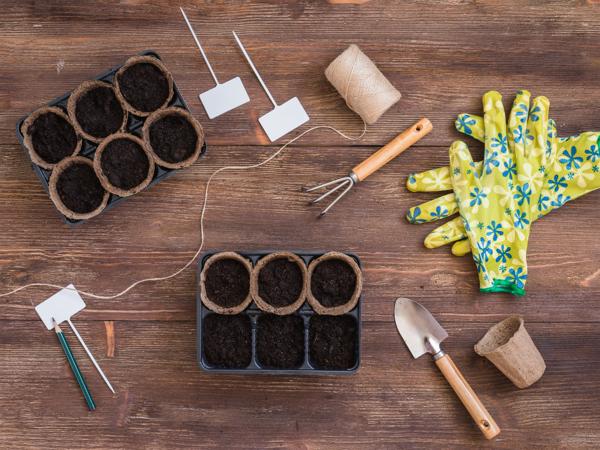 Seed Planting