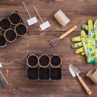 Seed Planting