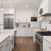 Luxury Kitchen Remodel