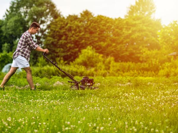 Lawn Mowing