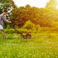 Discover practical advice on maintaining a vibrant and healthy lawn through proper mowing, watering, and fertilization techniques.