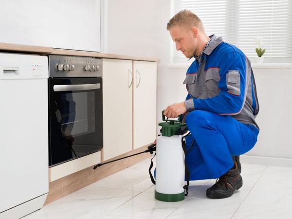 Pest Control Technician Spraying